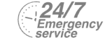 24/7 Emergency Service Pest Control in Orpington, Chelsfield, Downe, BR6. Call Now! 020 8166 9746