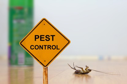 Pest Contol in Orpington, Chelsfield, Downe, BR6. Call Now 020 8166 9746